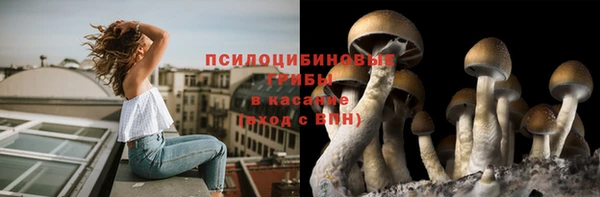 СК Алексин