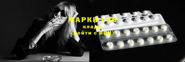 гашик Аркадак
