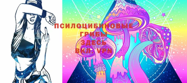 СК Алексин