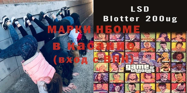 гашик Аркадак