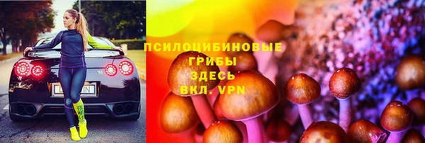 мдпв Арсеньев