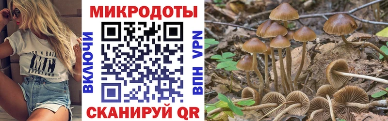 Галлюциногенные грибы Magic Shrooms  Судак 